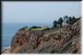 PalosVerdes