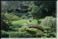 PeaceGarden